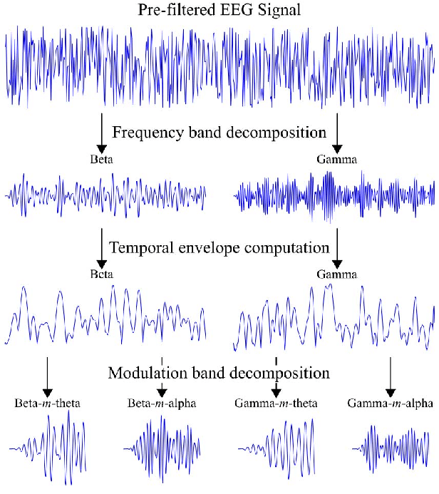 Example of processed EEG signals.